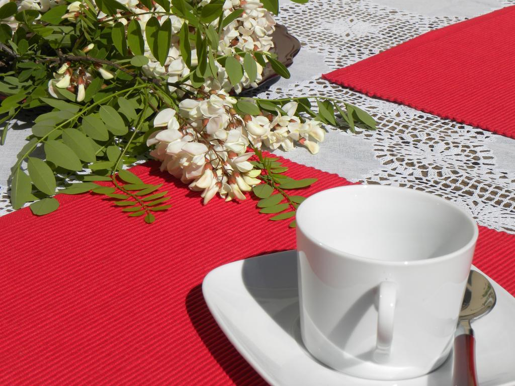 El Jardin De Los Gatos Apartament Caces Dış mekan fotoğraf