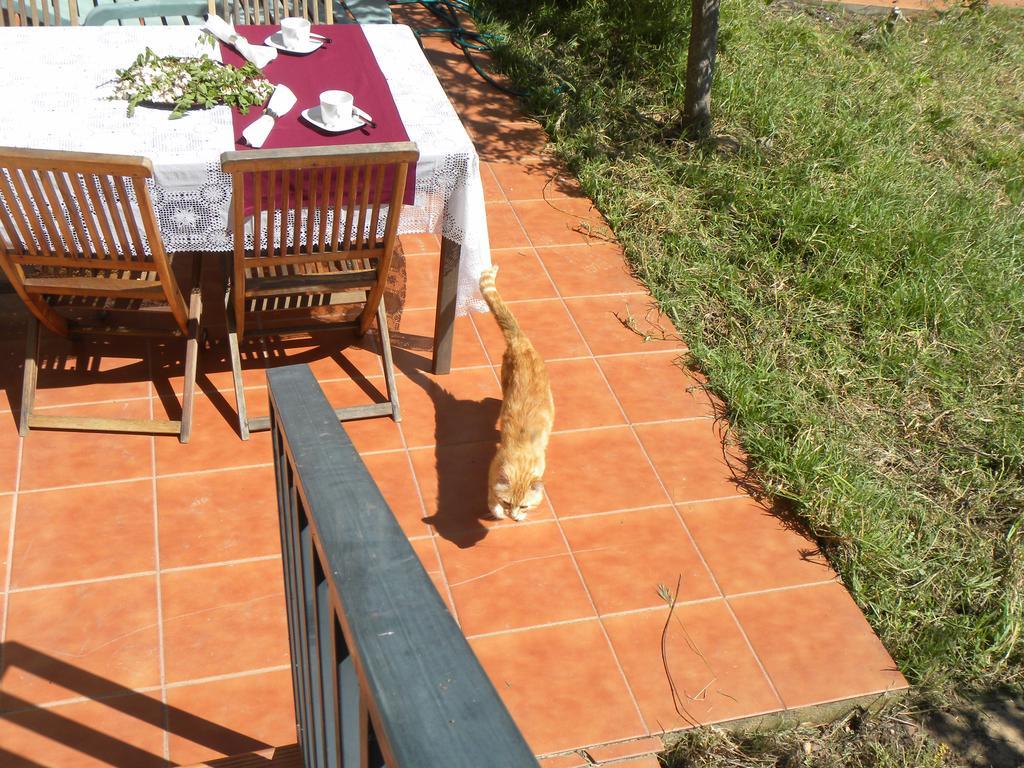 El Jardin De Los Gatos Apartament Caces Dış mekan fotoğraf